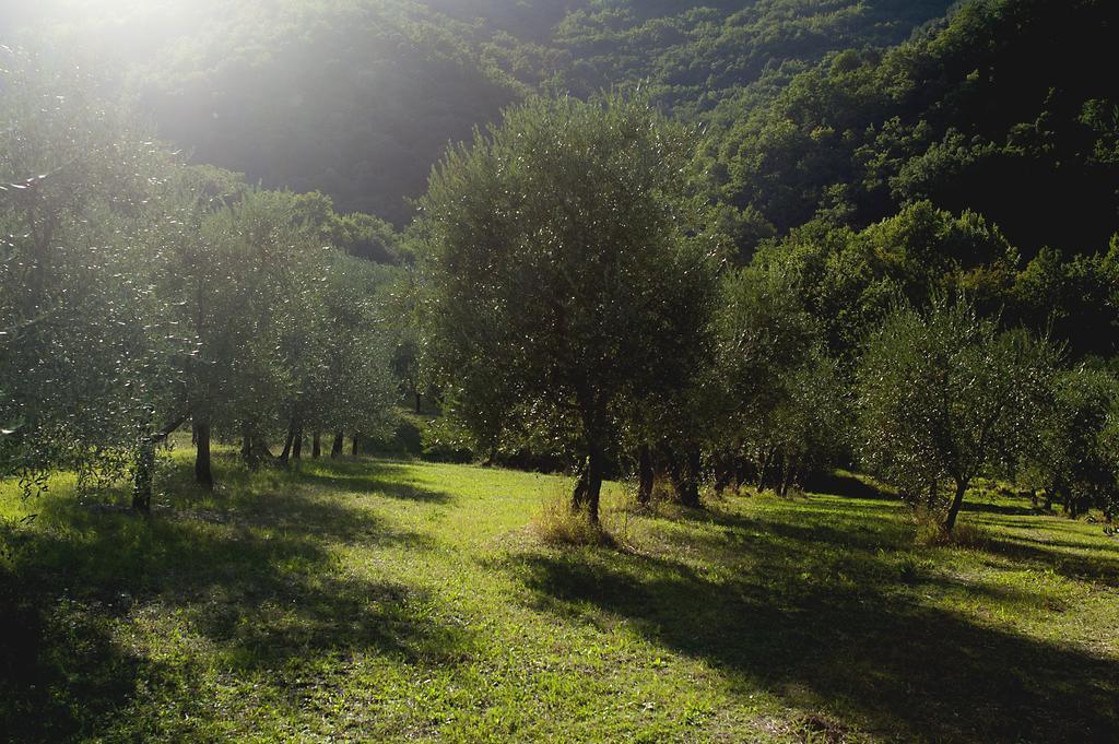 Rignano sullʼArno Country Room Il Moro المظهر الخارجي الصورة