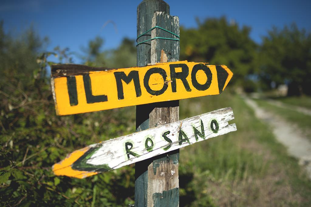 Rignano sullʼArno Country Room Il Moro المظهر الخارجي الصورة